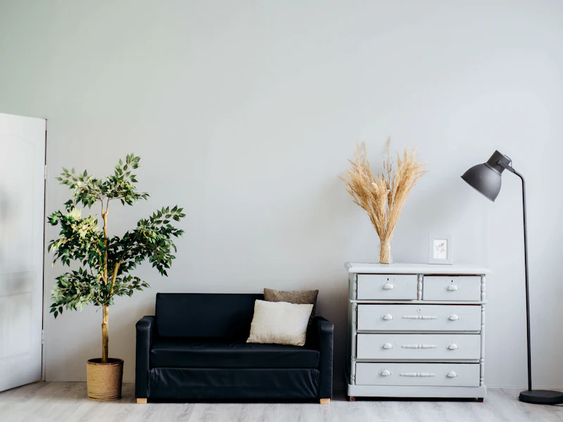 Estúdio minimalista com sofá preto, cómoda branca e planta
